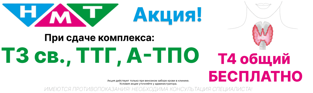 Т4 БЕСПЛАТНО
